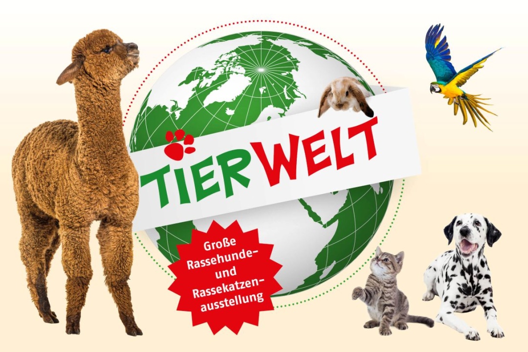 Bild für 11. und 12. April 2026 | Messe Magdeburg