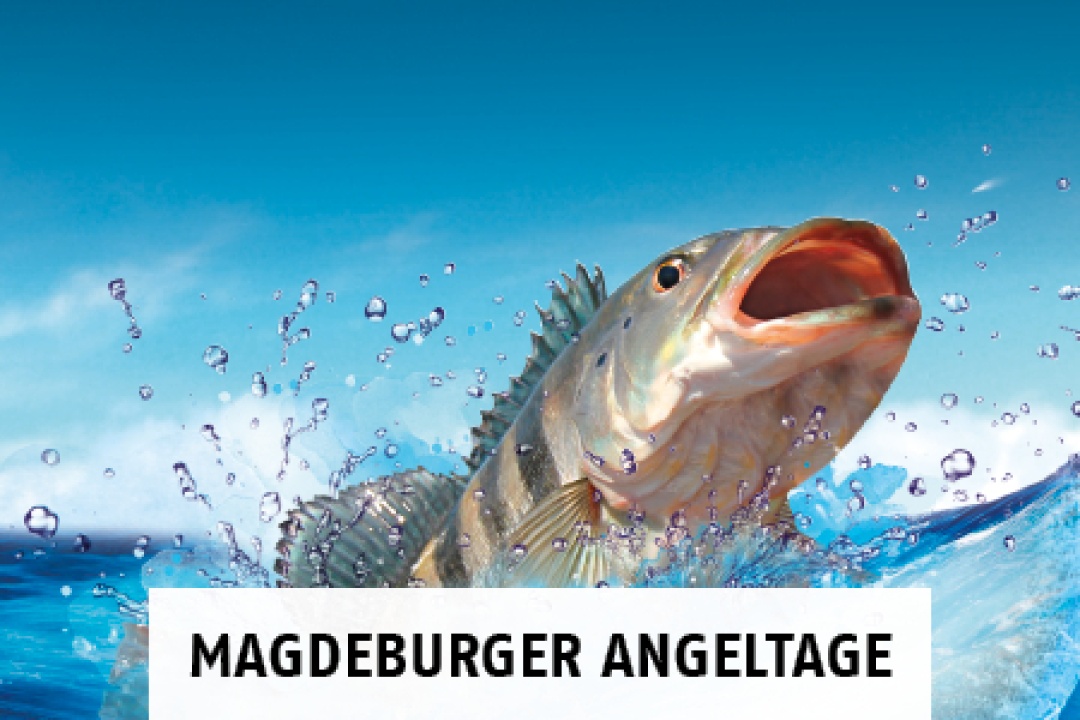 Bild für 